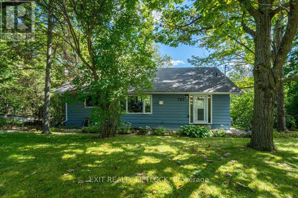 Primary Property View