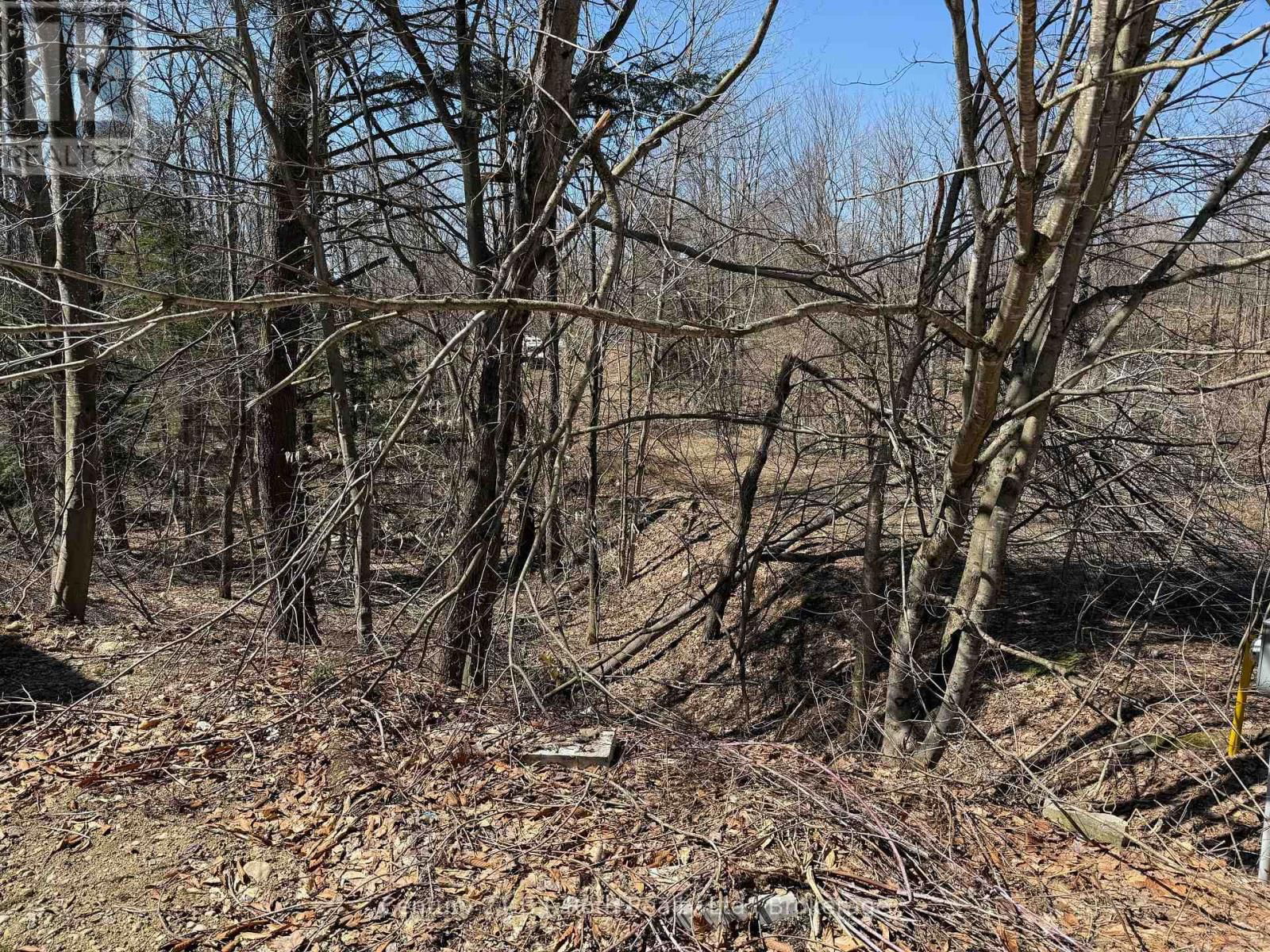 1087 MERKLEY ROAD Image 34
