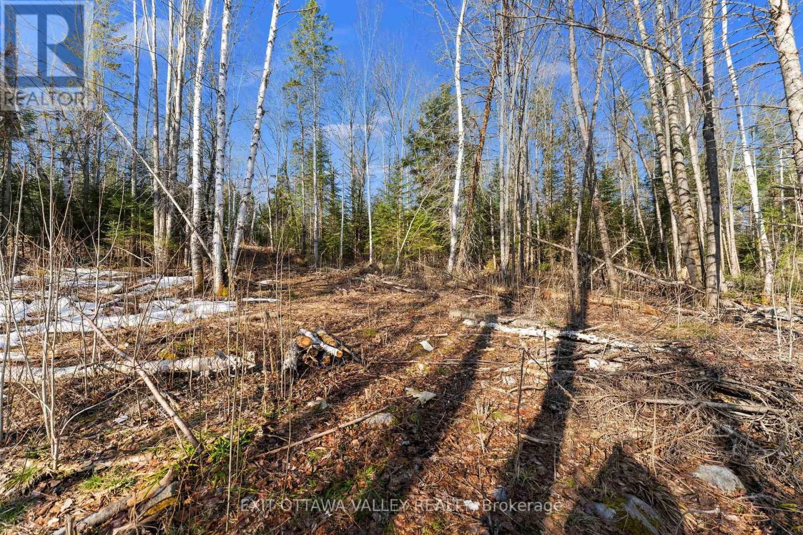 001 SIBERIA ROAD SOUTH Image 6
