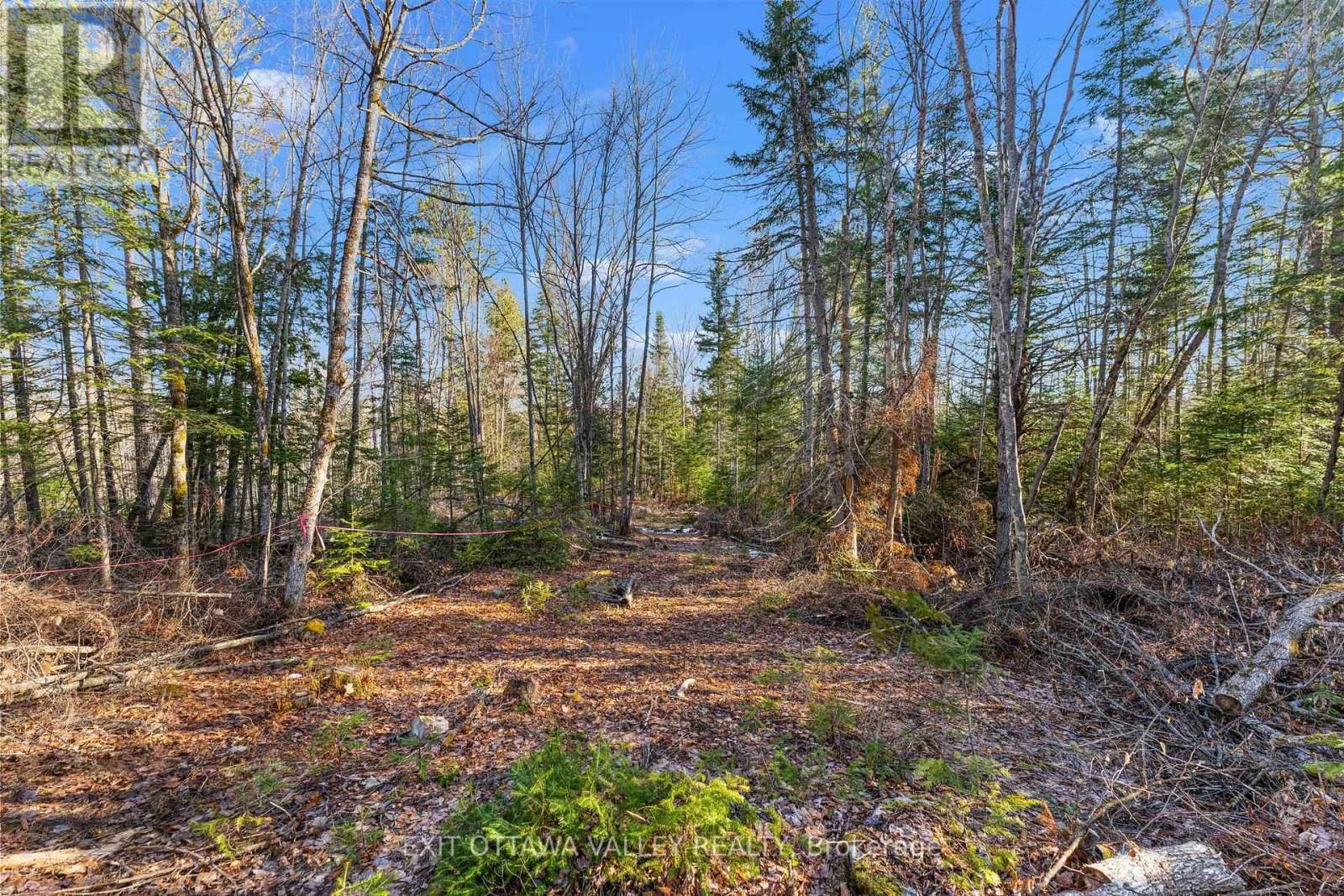001 SIBERIA ROAD SOUTH Image 8