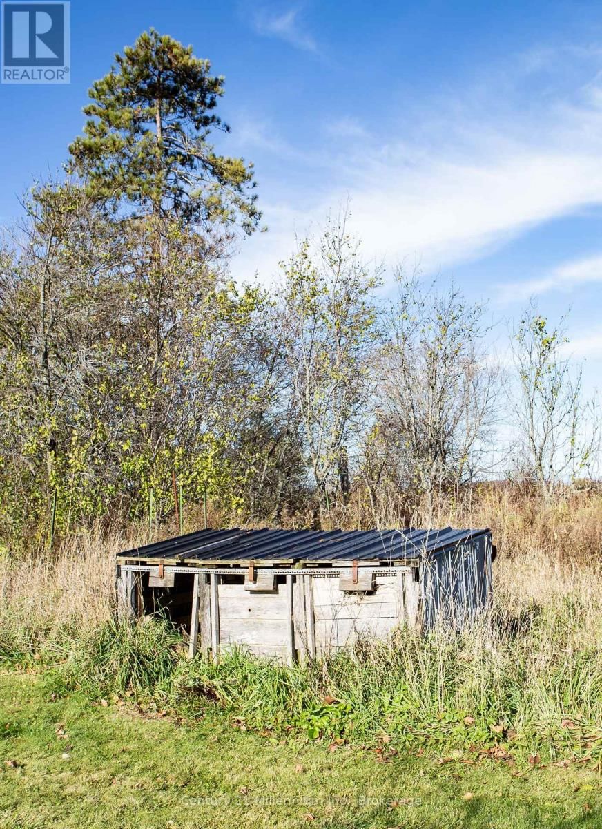 725292 12 GREY ROAD Image 35
