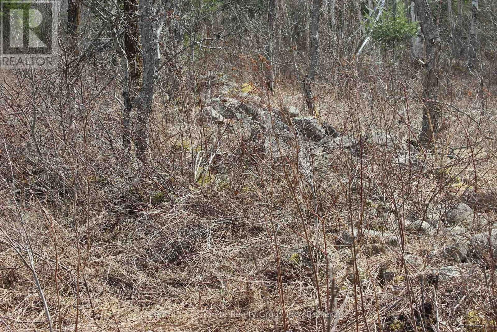 2828 FIRE ROUTE 72 ROUTE Image 14