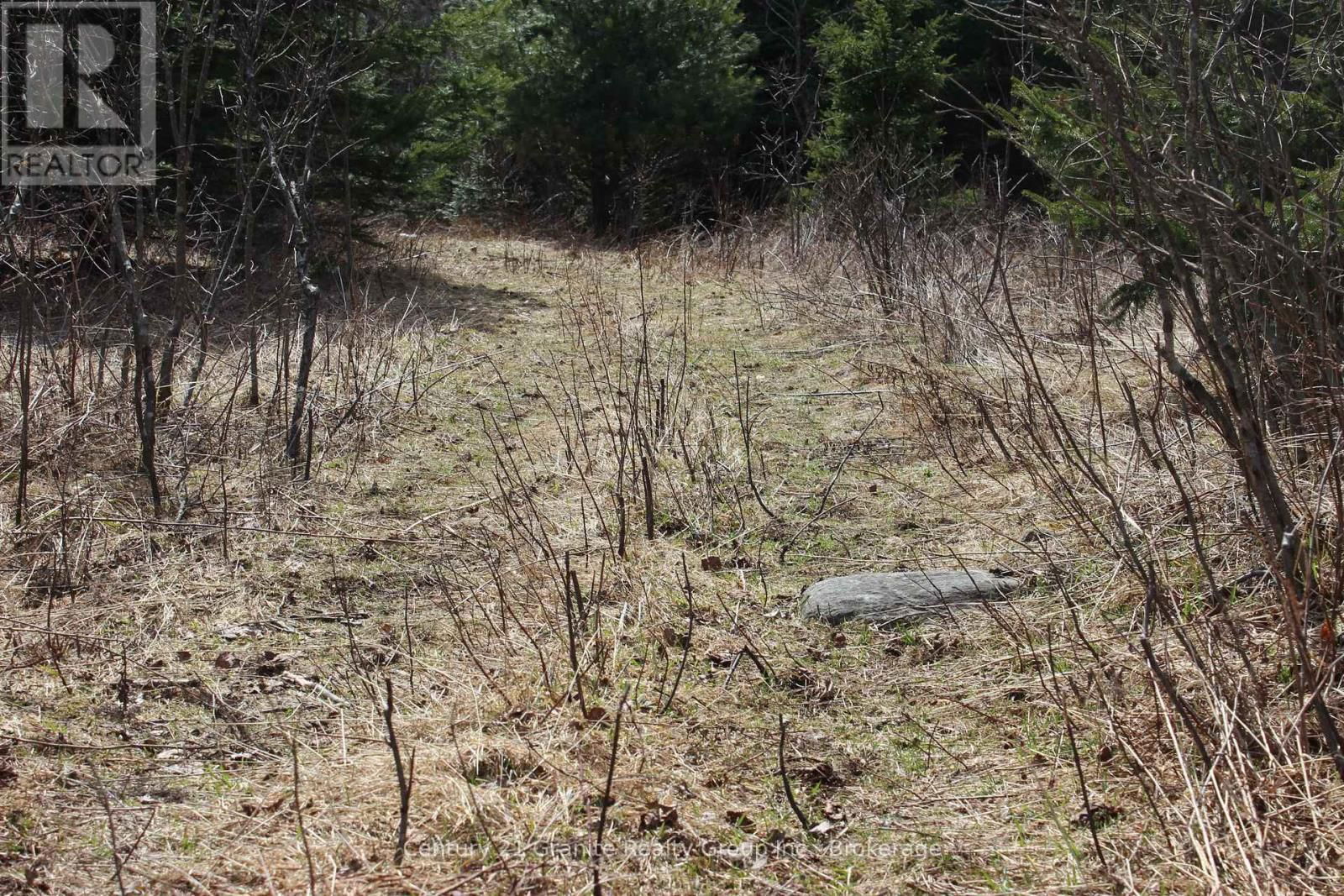 2828 FIRE ROUTE 72 ROUTE Image 15