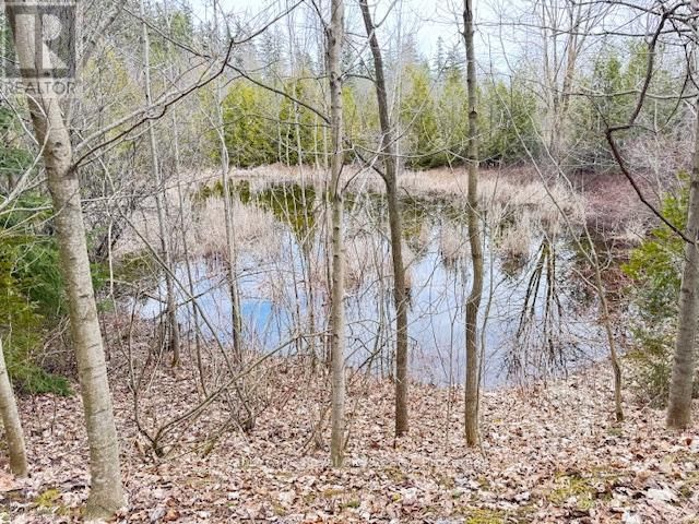156 BARDEN STREET Image 14