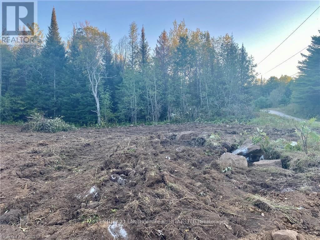 0 STONEY SETTLEMENT ROAD Image 1