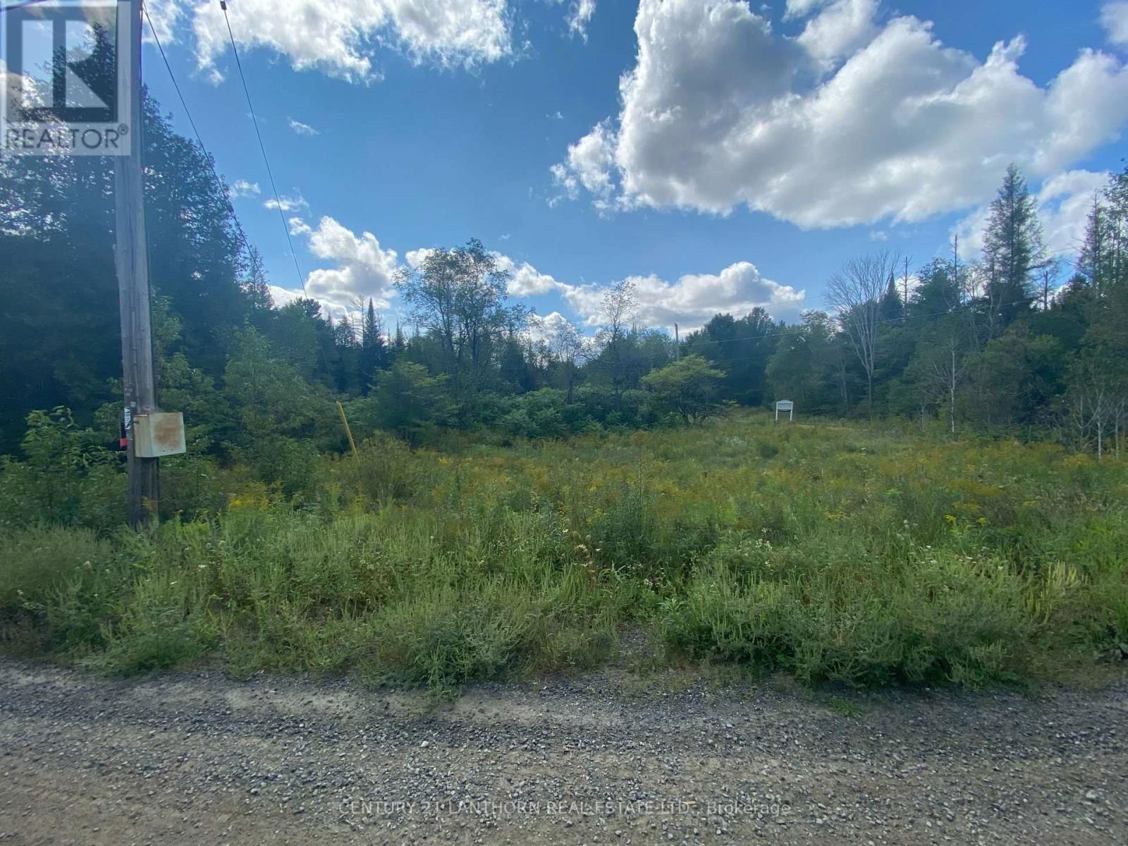0 STONEY SETTLEMENT ROAD Image 11