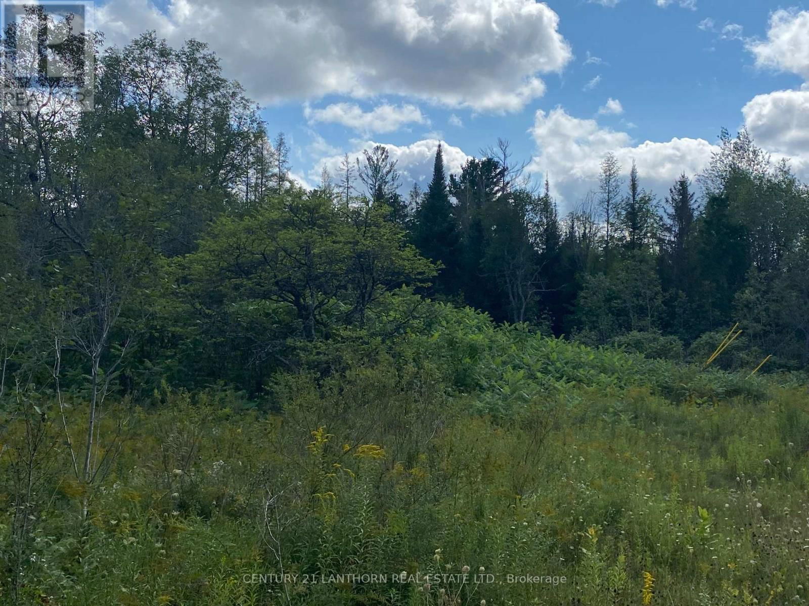 0 STONEY SETTLEMENT ROAD Image 14