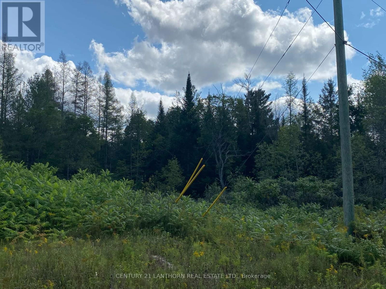 0 STONEY SETTLEMENT ROAD Image 16