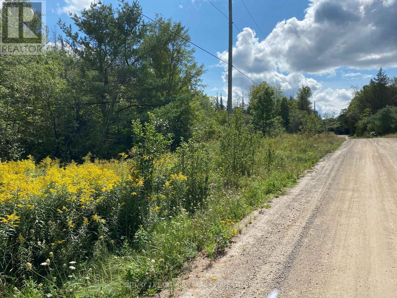 0 STONEY SETTLEMENT ROAD Image 19