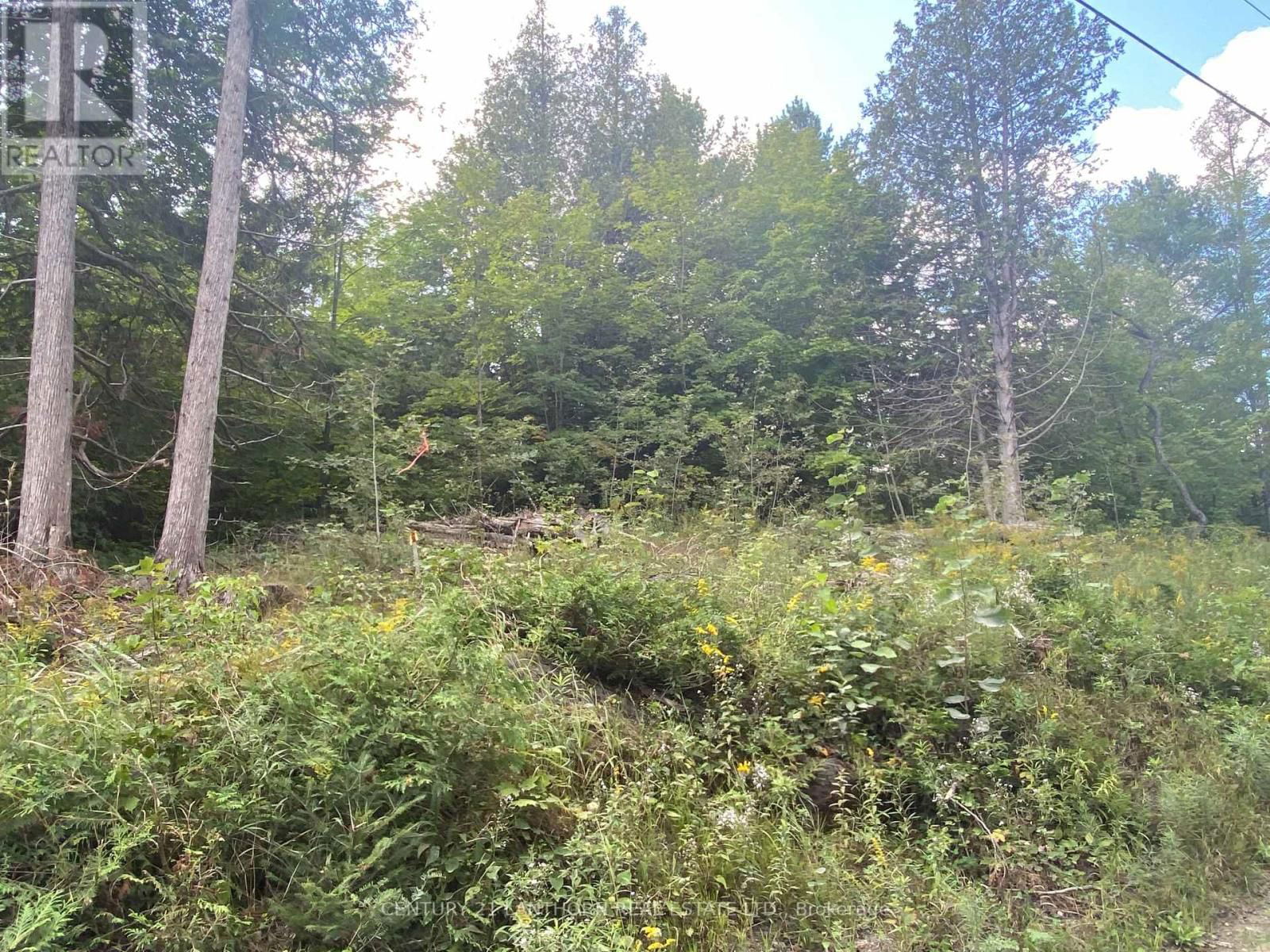 0 STONEY SETTLEMENT ROAD Image 7