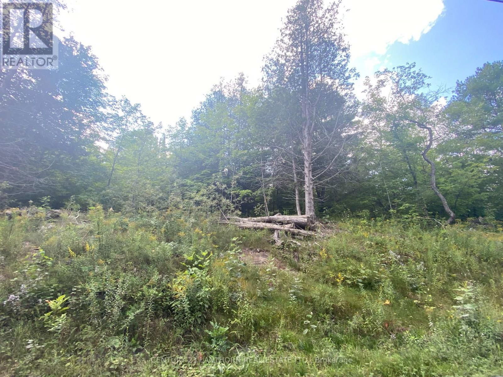 0 STONEY SETTLEMENT ROAD Image 8