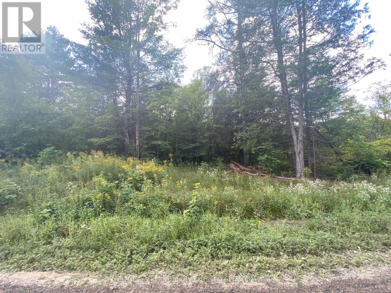 0 STONEY SETTLEMENT ROAD Image 9