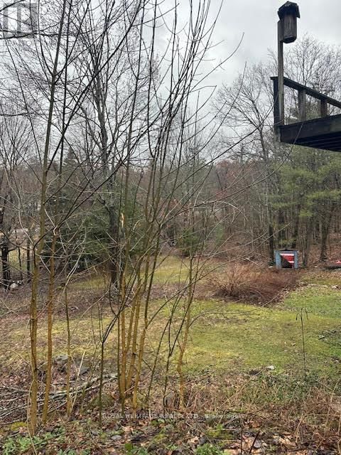 1020 PARKHOLME ROAD Image 17