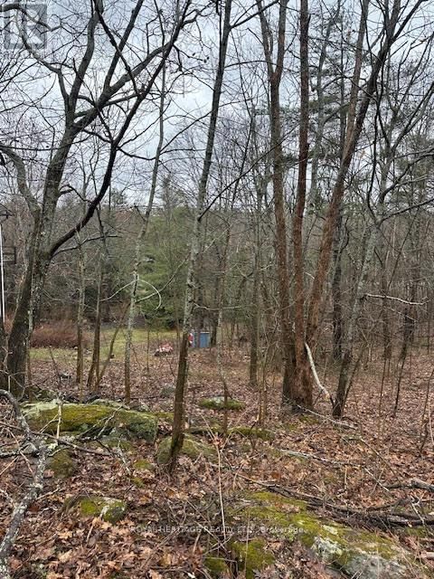 1020 PARKHOLME ROAD Image 18