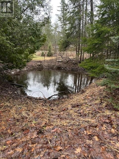 1020 PARKHOLME ROAD Image 19