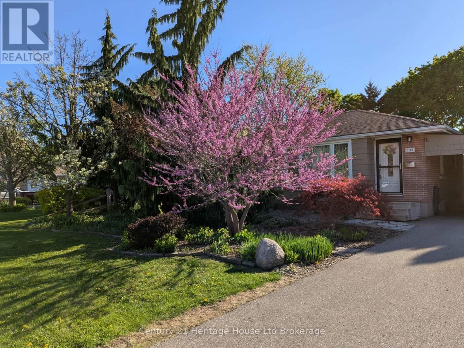 293 CLARKE STREET NORTH Image 2