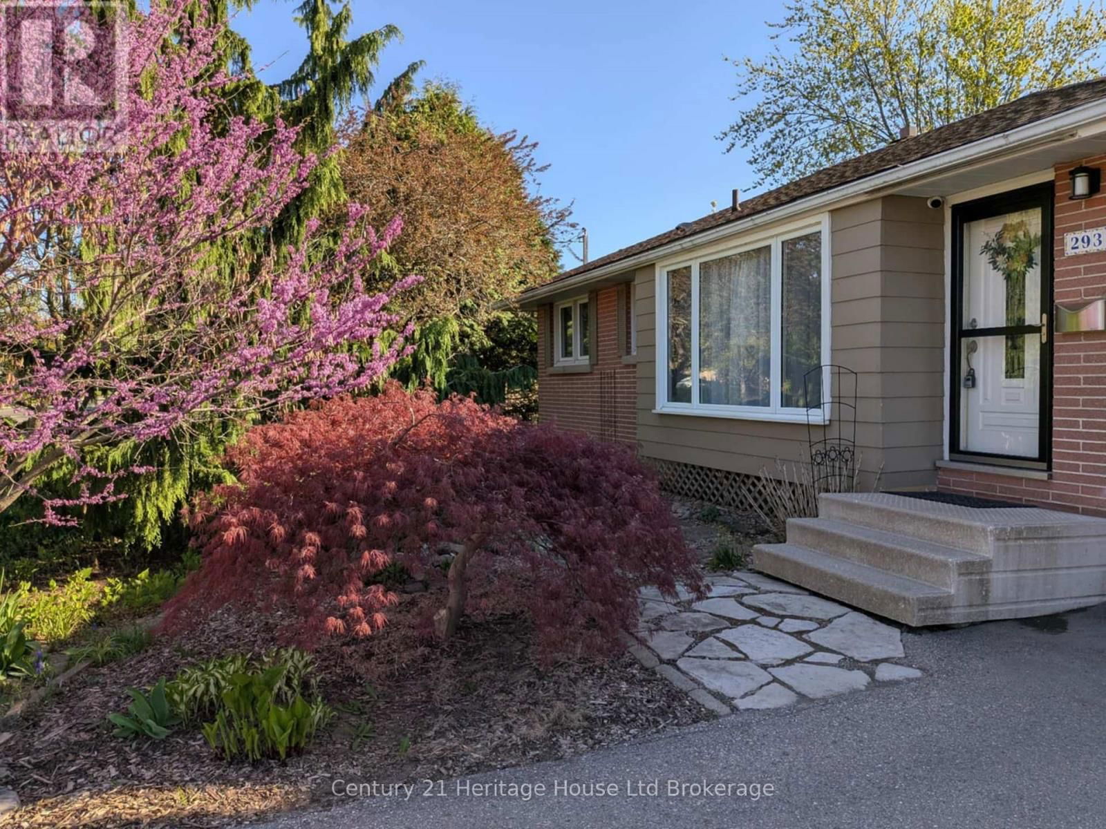 293 CLARKE STREET NORTH Image 4
