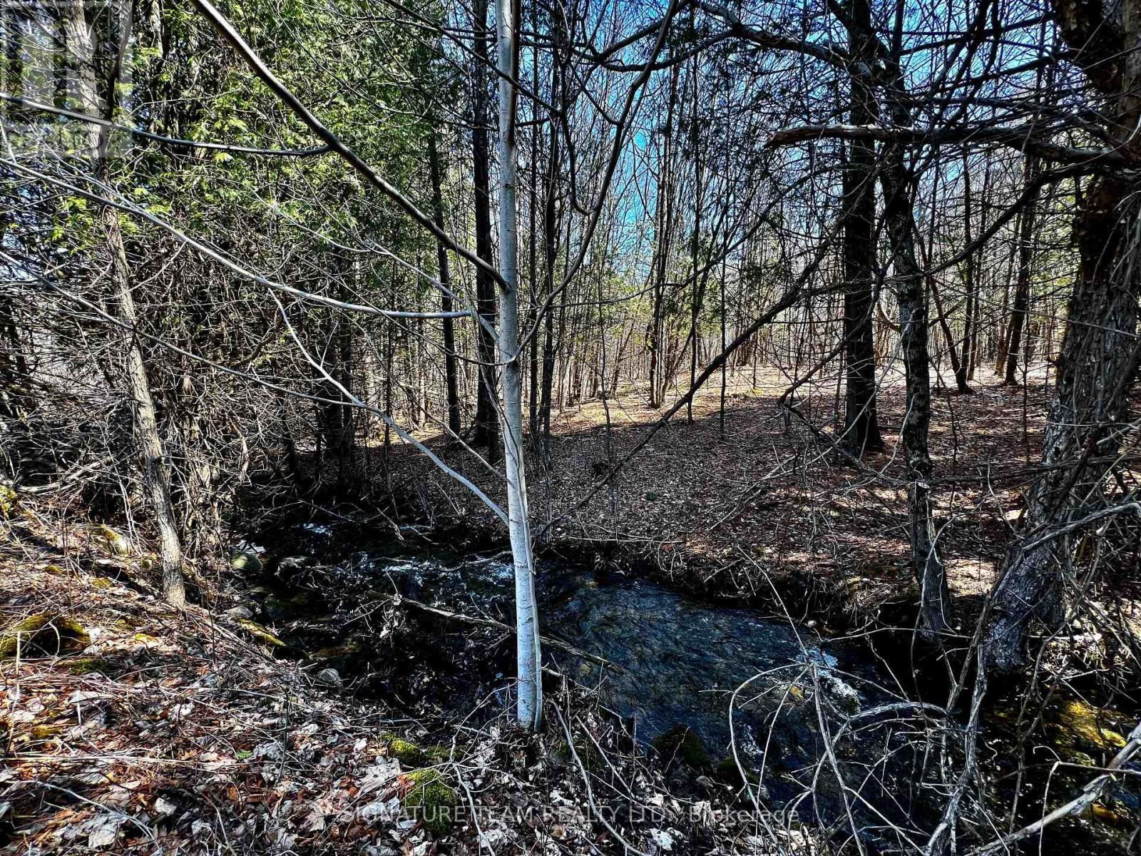 0 MINNIE ROAD Image 32