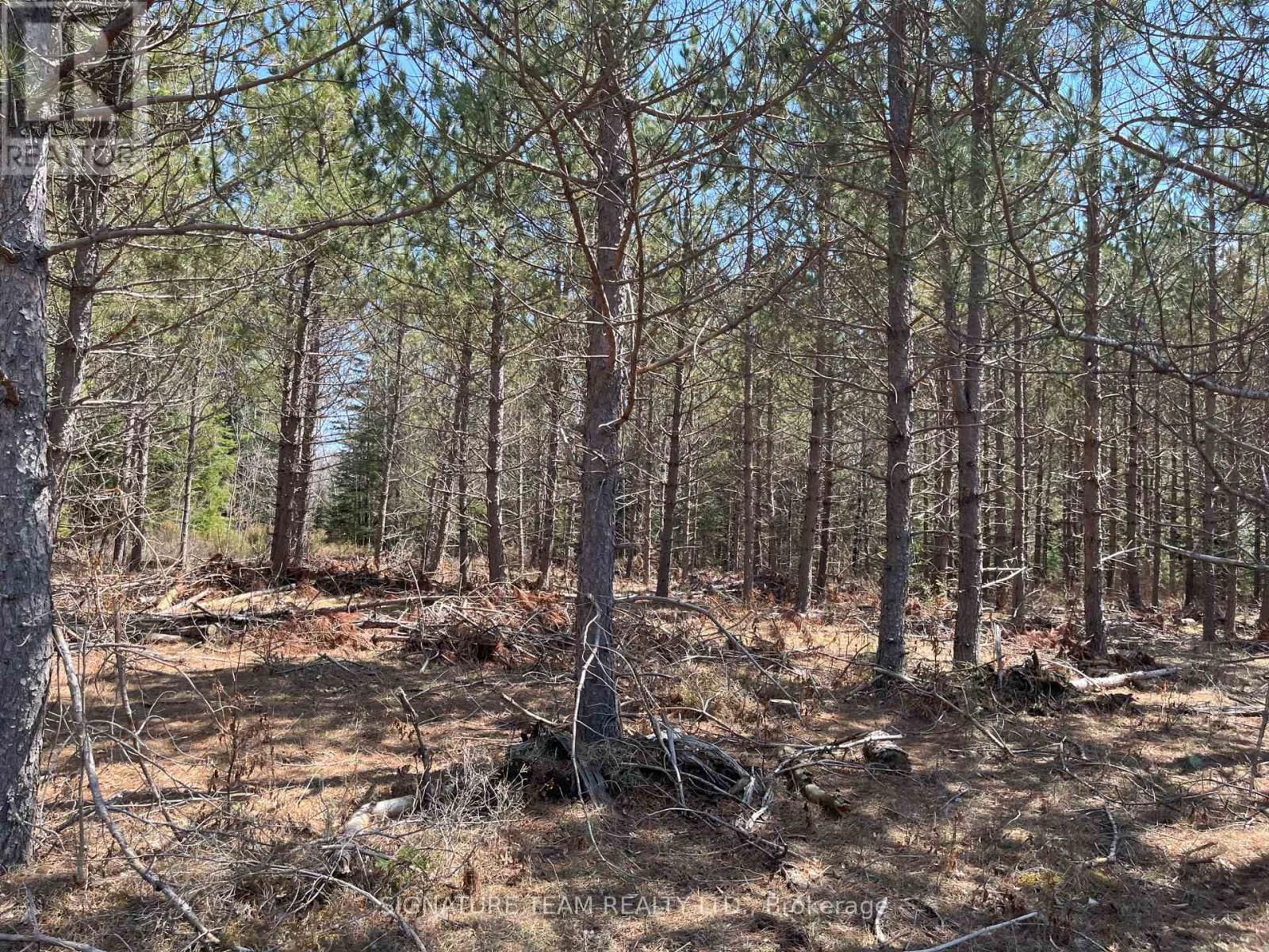 0 MINNIE ROAD Image 41
