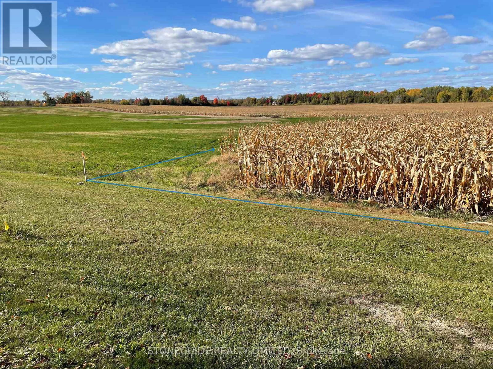 00 ASSUMPTION ROAD Image 2