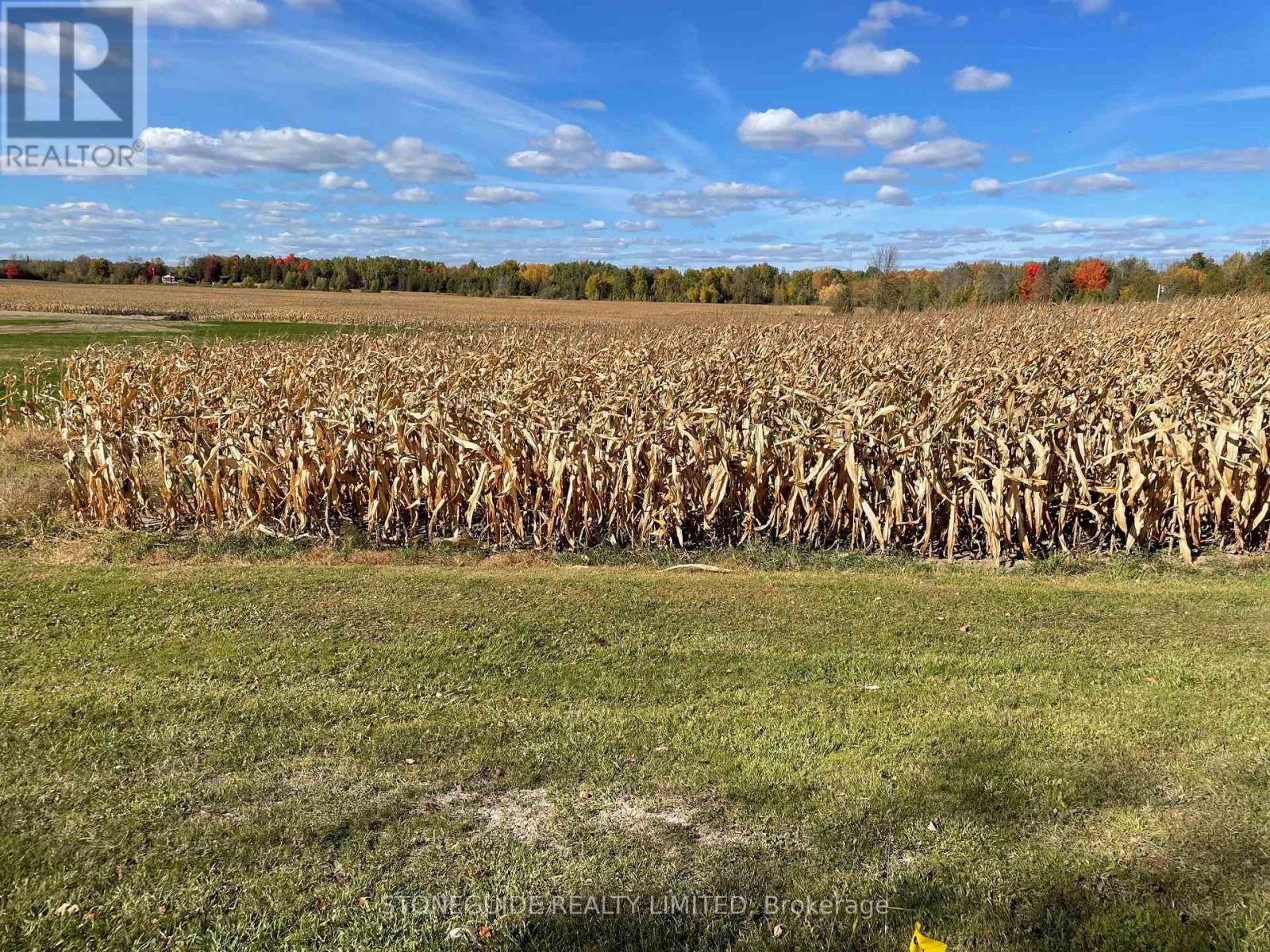 00 ASSUMPTION ROAD Image 5
