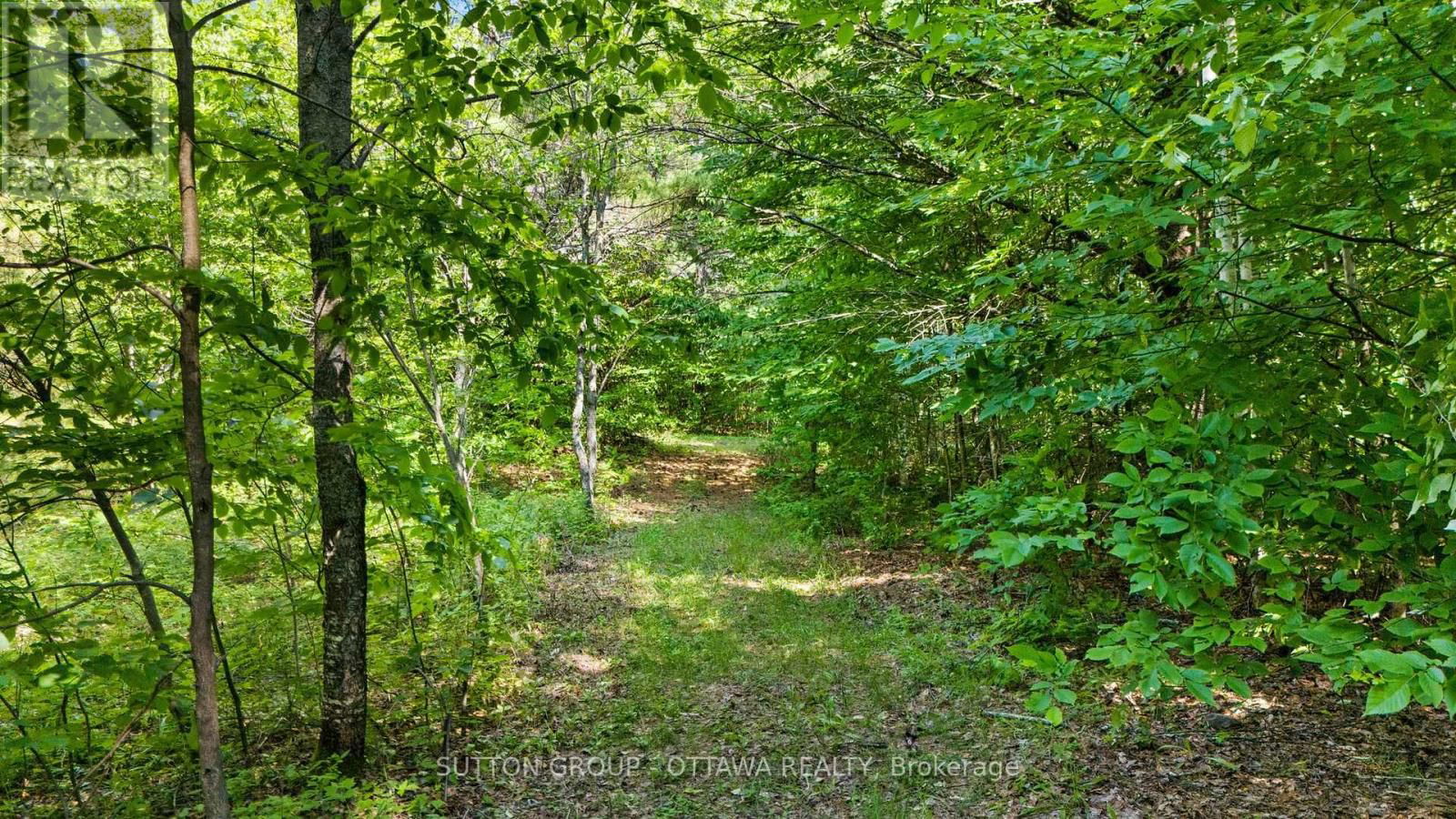 1448 WOITO STATION ROAD Image 11