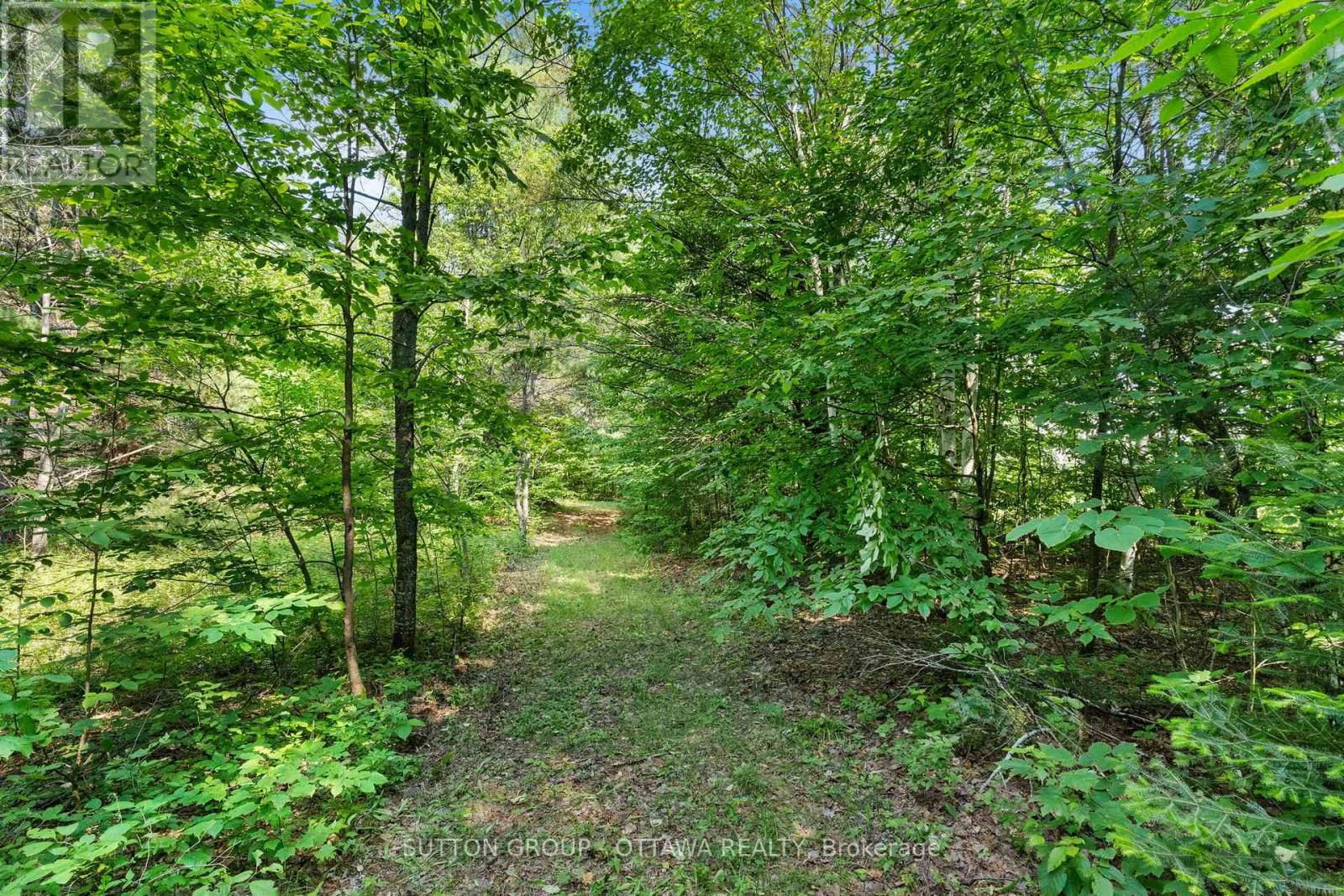 1448 WOITO STATION ROAD Image 12