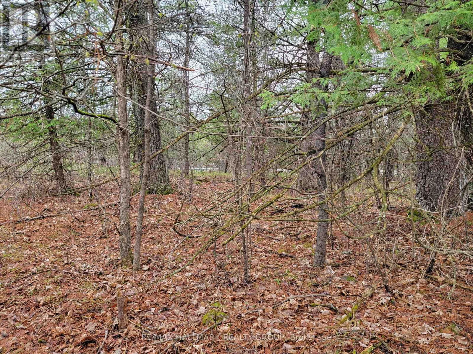 1685 GALETTA SIDE ROAD Image 4