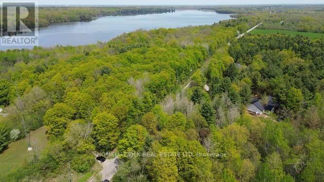001 GRAHAM LAKE ROAD Image 3