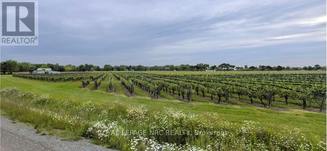 1617-1679 NORTH SERVICE ROAD Image 3