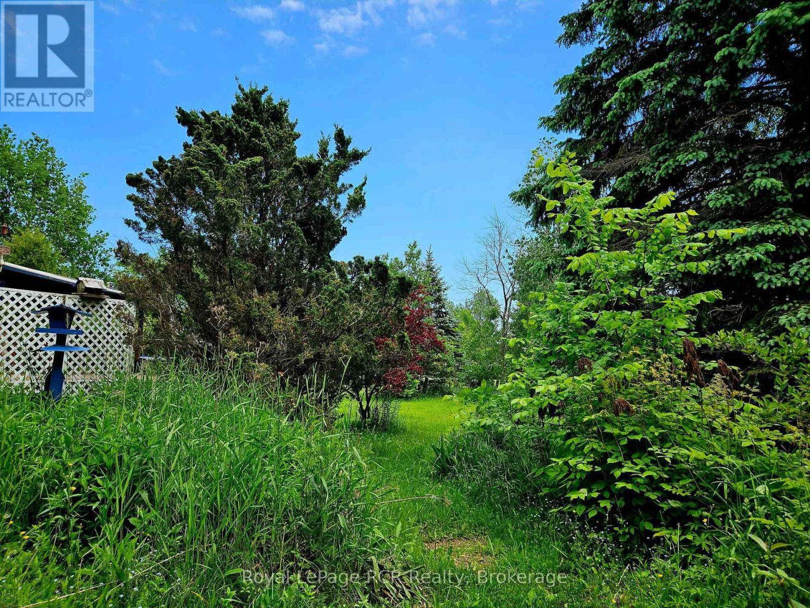 127 KIRK STREET Image 2