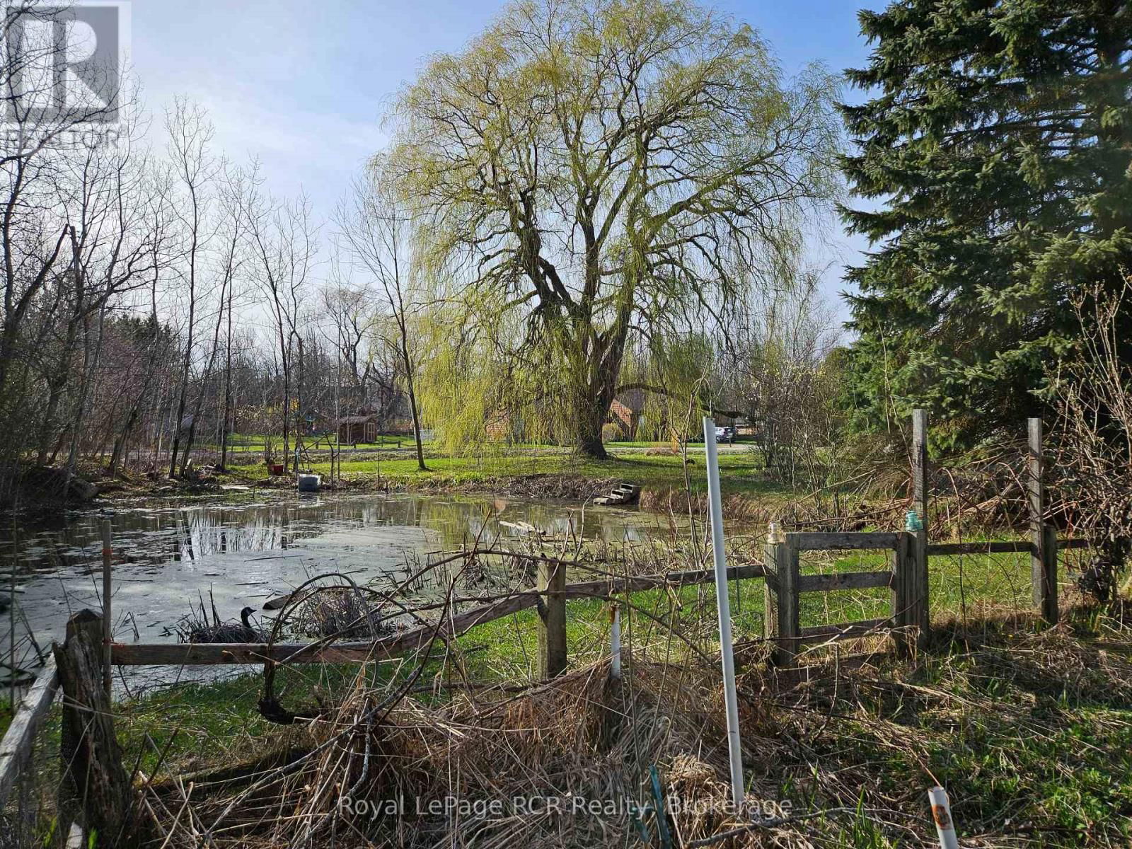 127 KIRK STREET Image 35