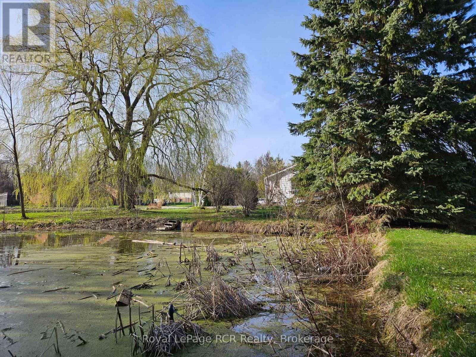 127 KIRK STREET Image 38