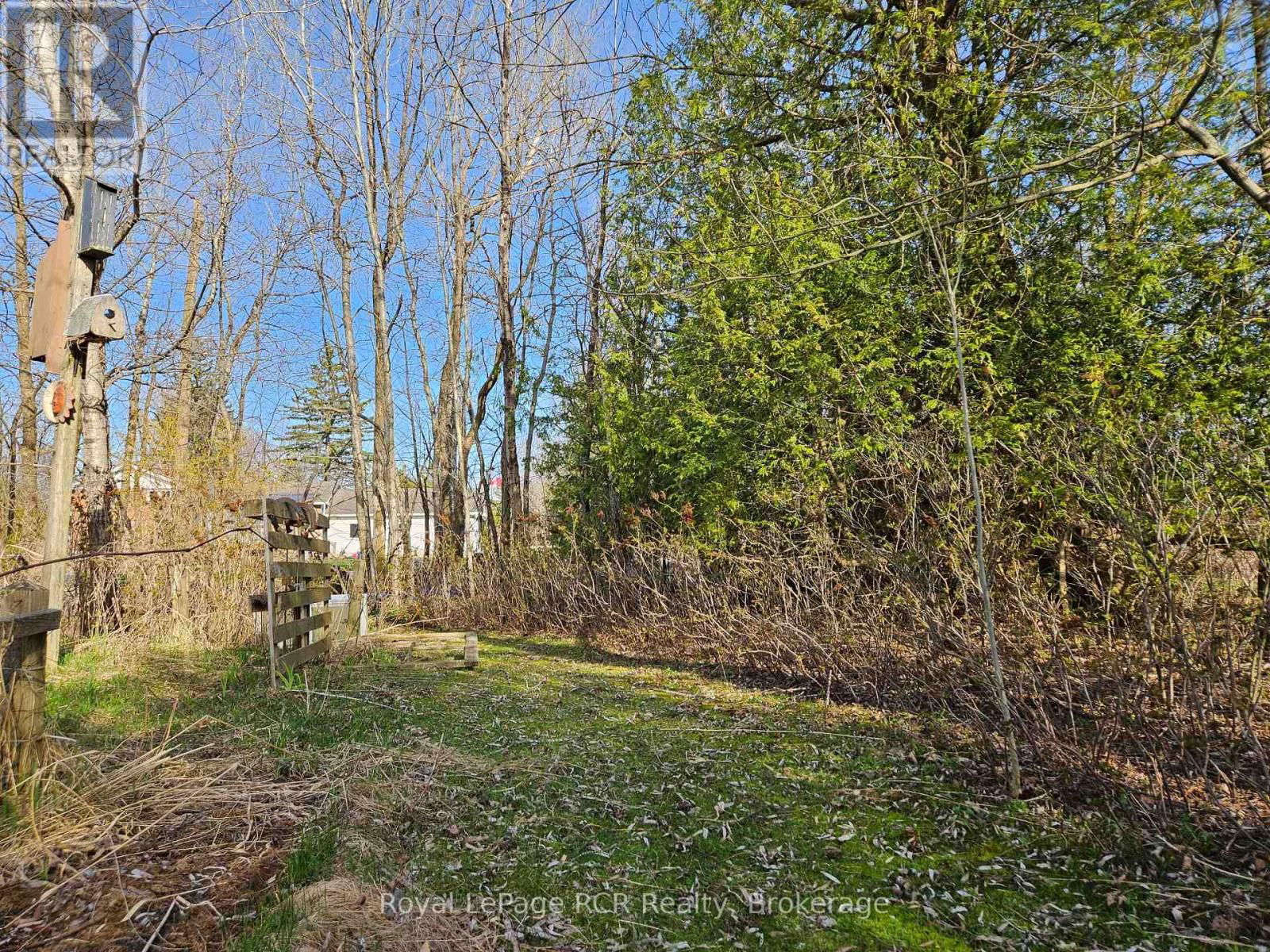 127 KIRK STREET Image 41