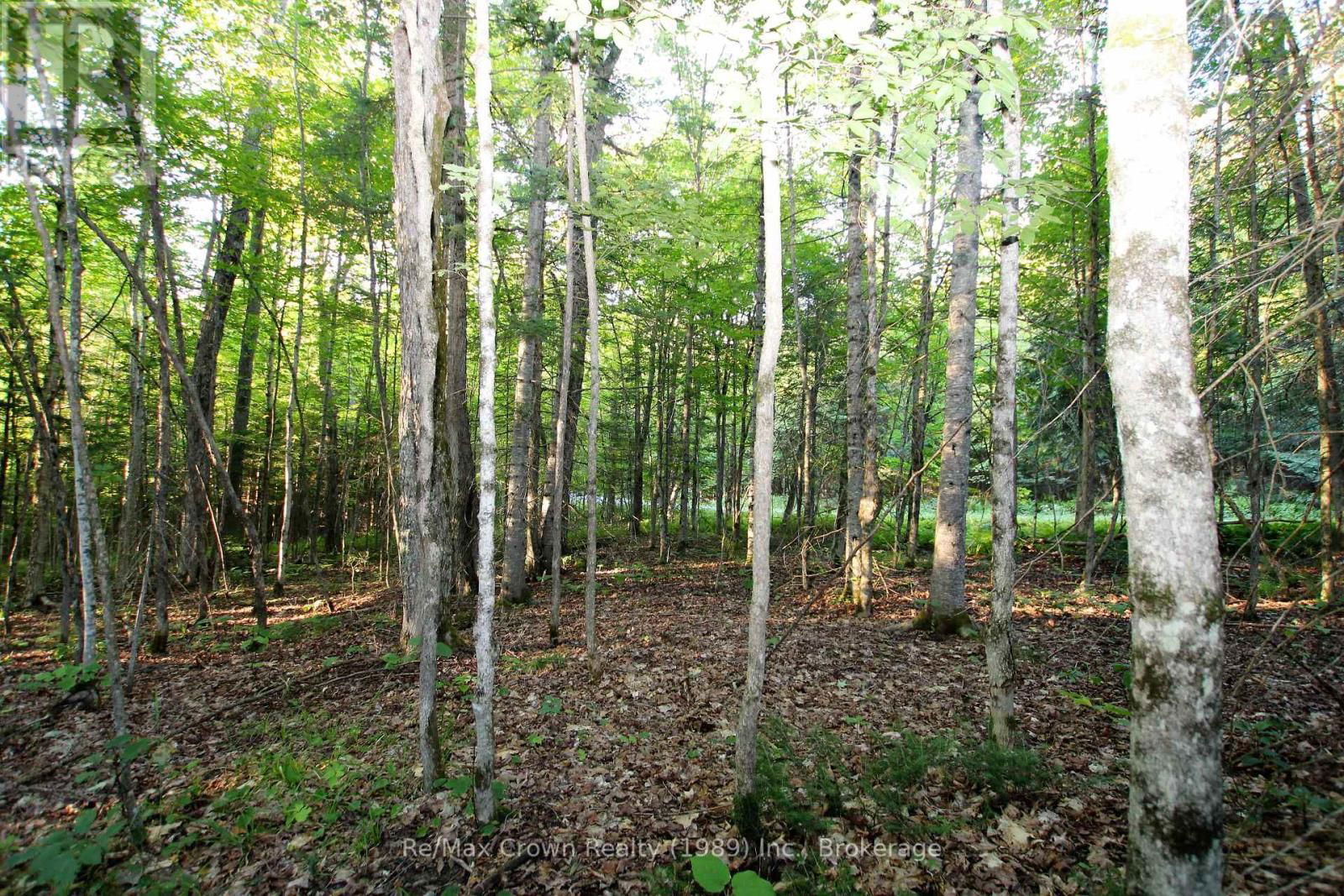 00 PILGERS ROAD Image 2