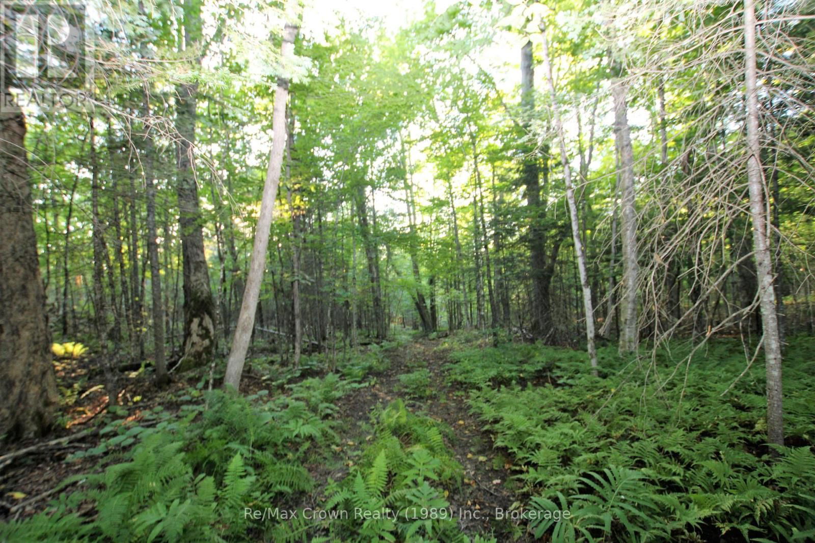 00 PILGERS ROAD Image 3