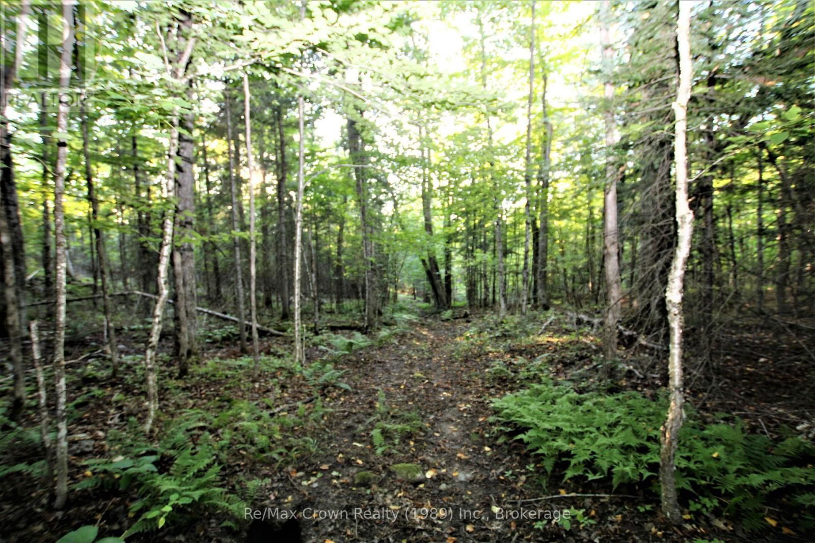 00 PILGERS ROAD Image 4