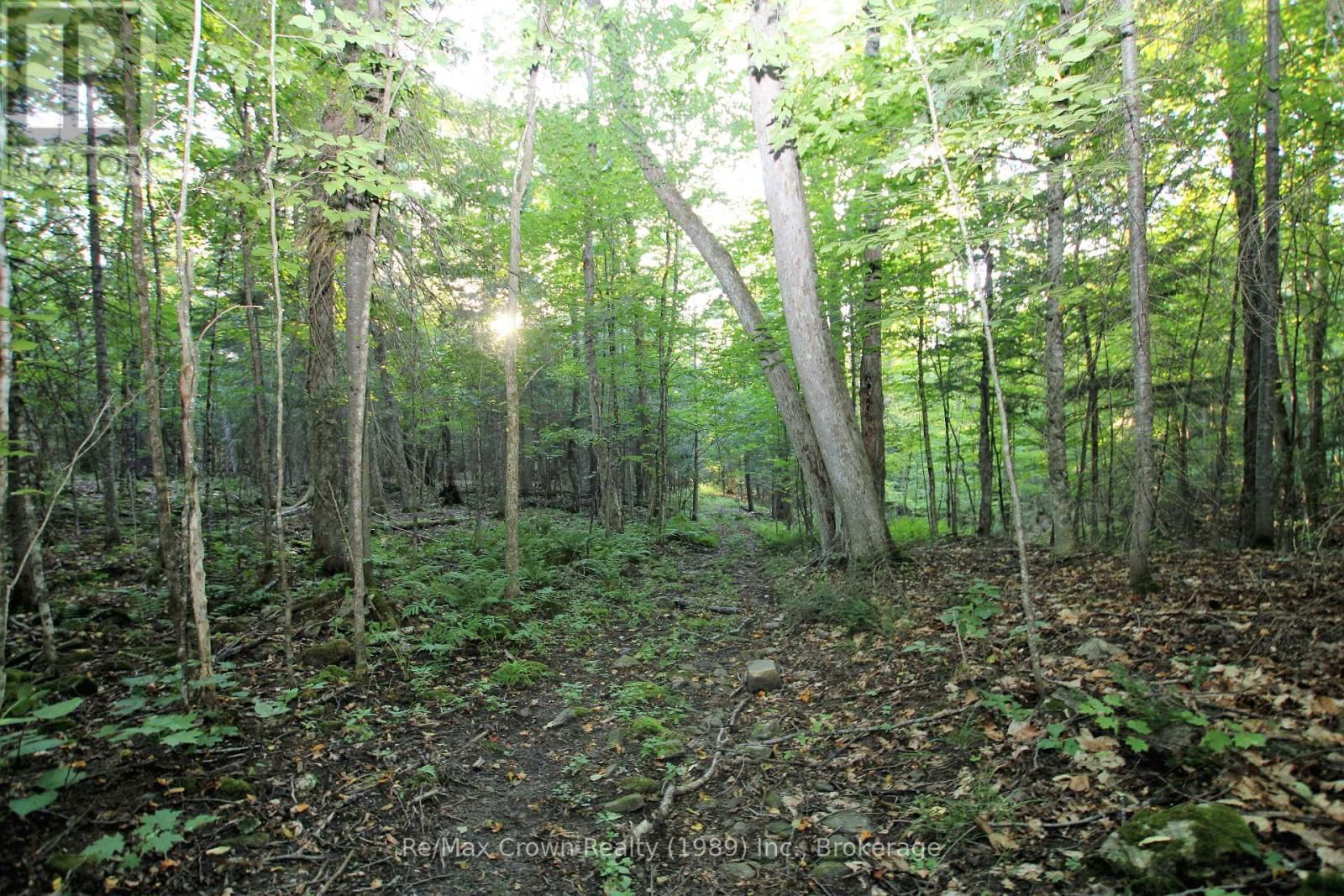 00 PILGERS ROAD Image 5