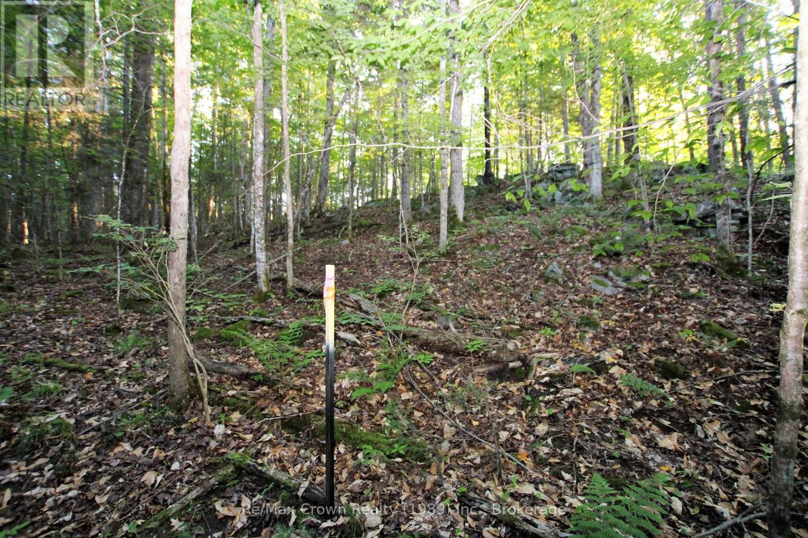 00 PILGERS ROAD Image 6