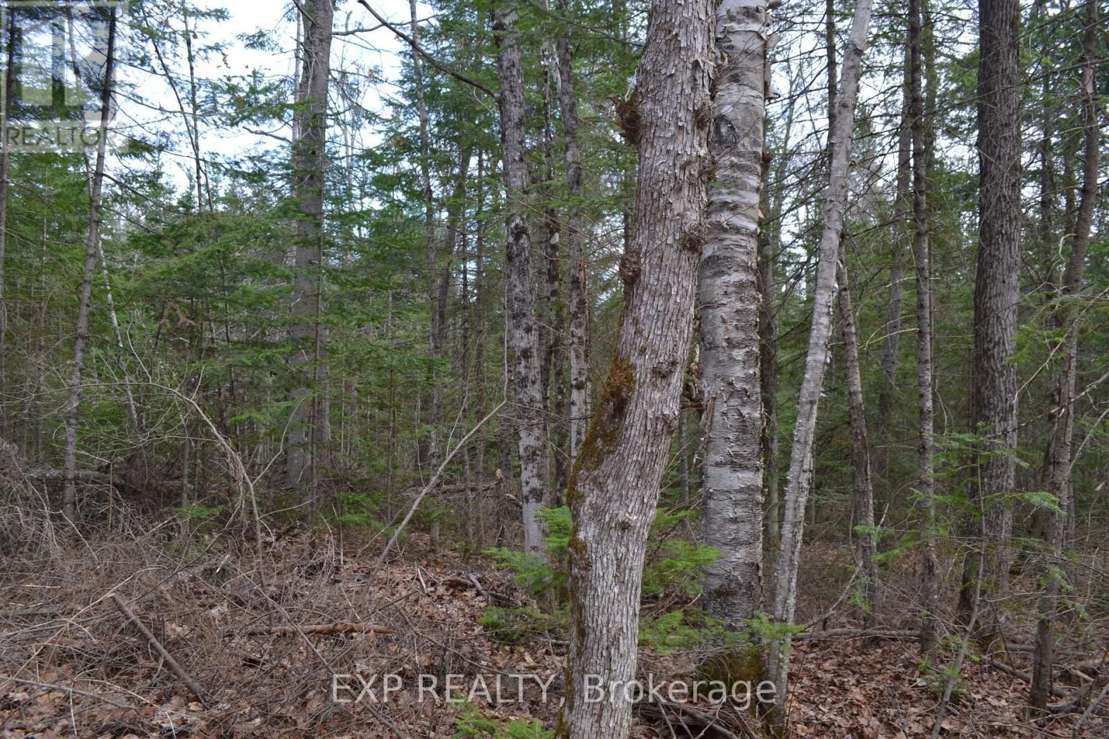 28044 C HWY 41 ROAD Image 21