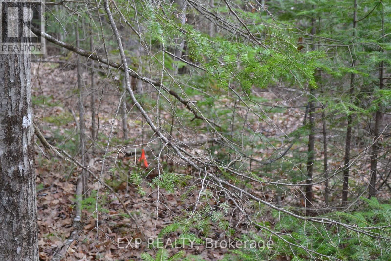 28044 C HWY 41 ROAD Image 22