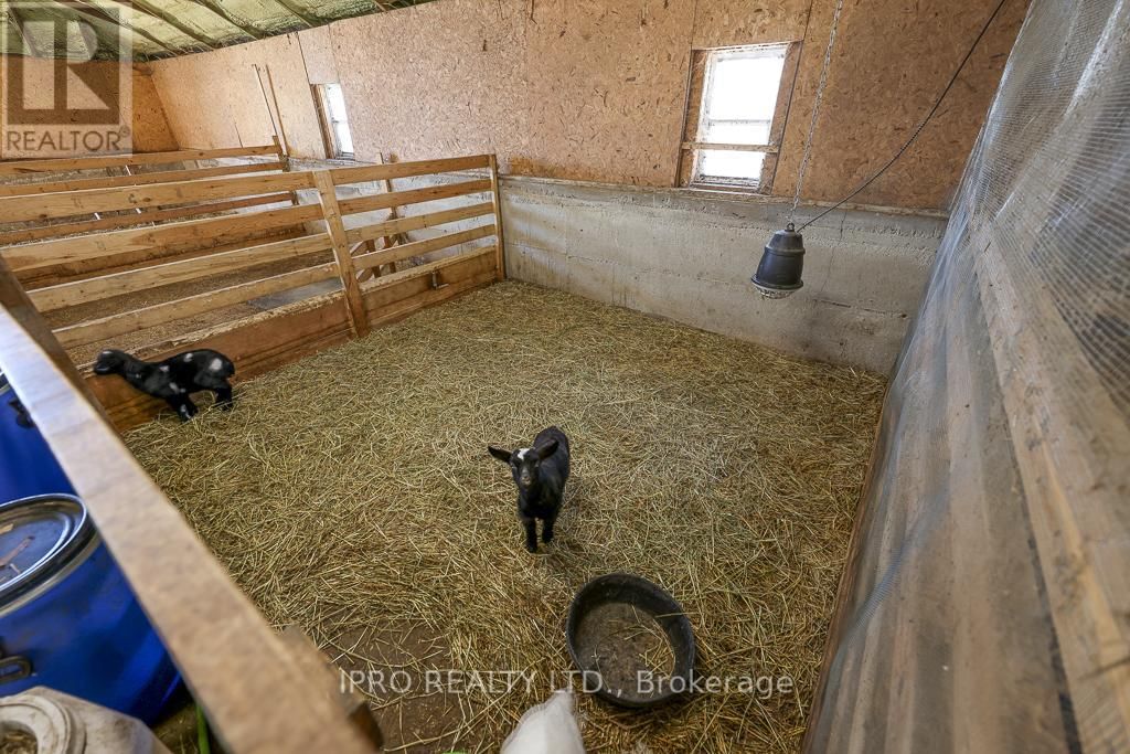 3892 LEWIS ROAD Image 44