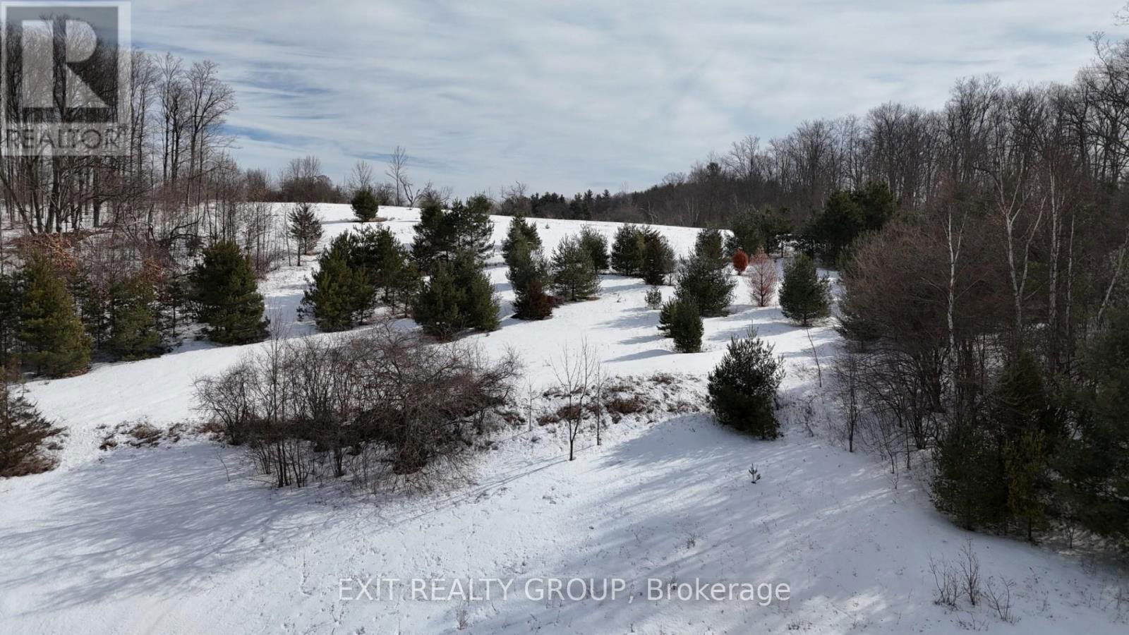 225 JONES ROAD Image 11