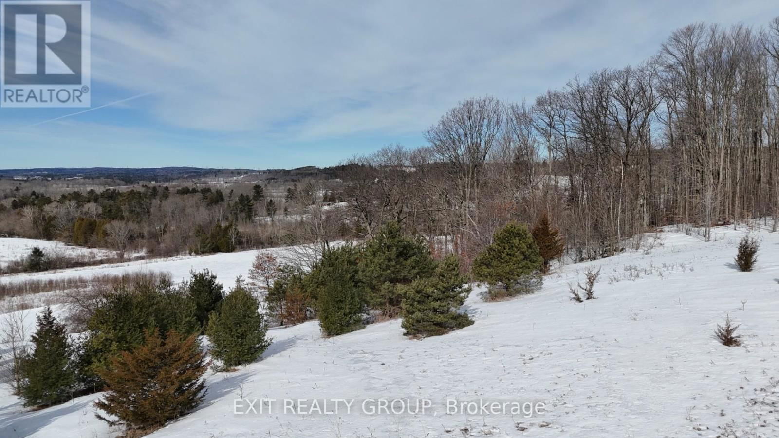 225 JONES ROAD Image 12