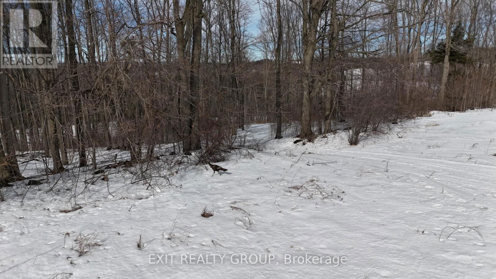 225 JONES ROAD Image 13