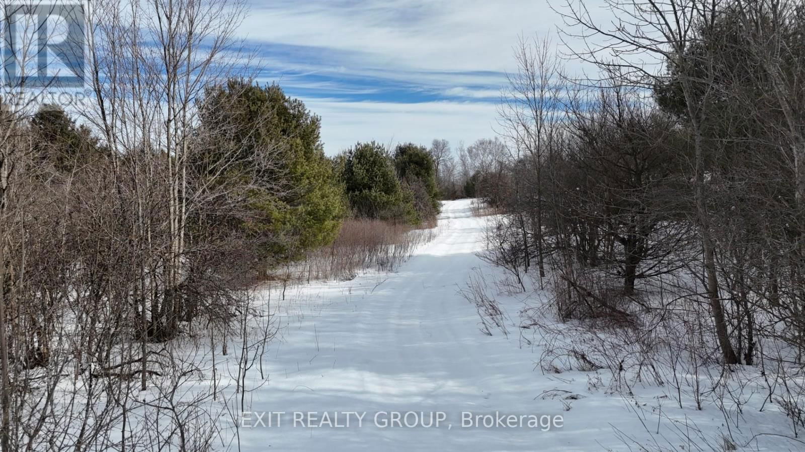 225 JONES ROAD Image 17