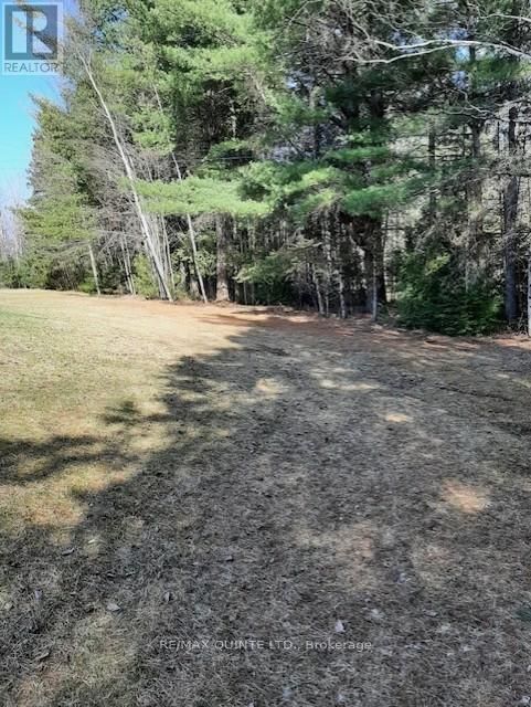 2063 HENDERSON ROAD Image 9