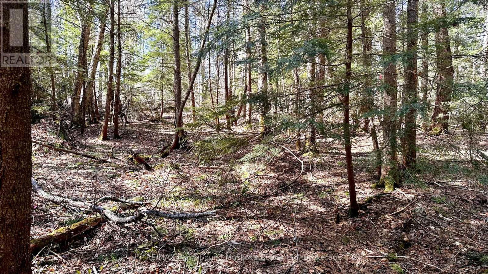 3 GREENWOOD CAMP ROAD Image 12