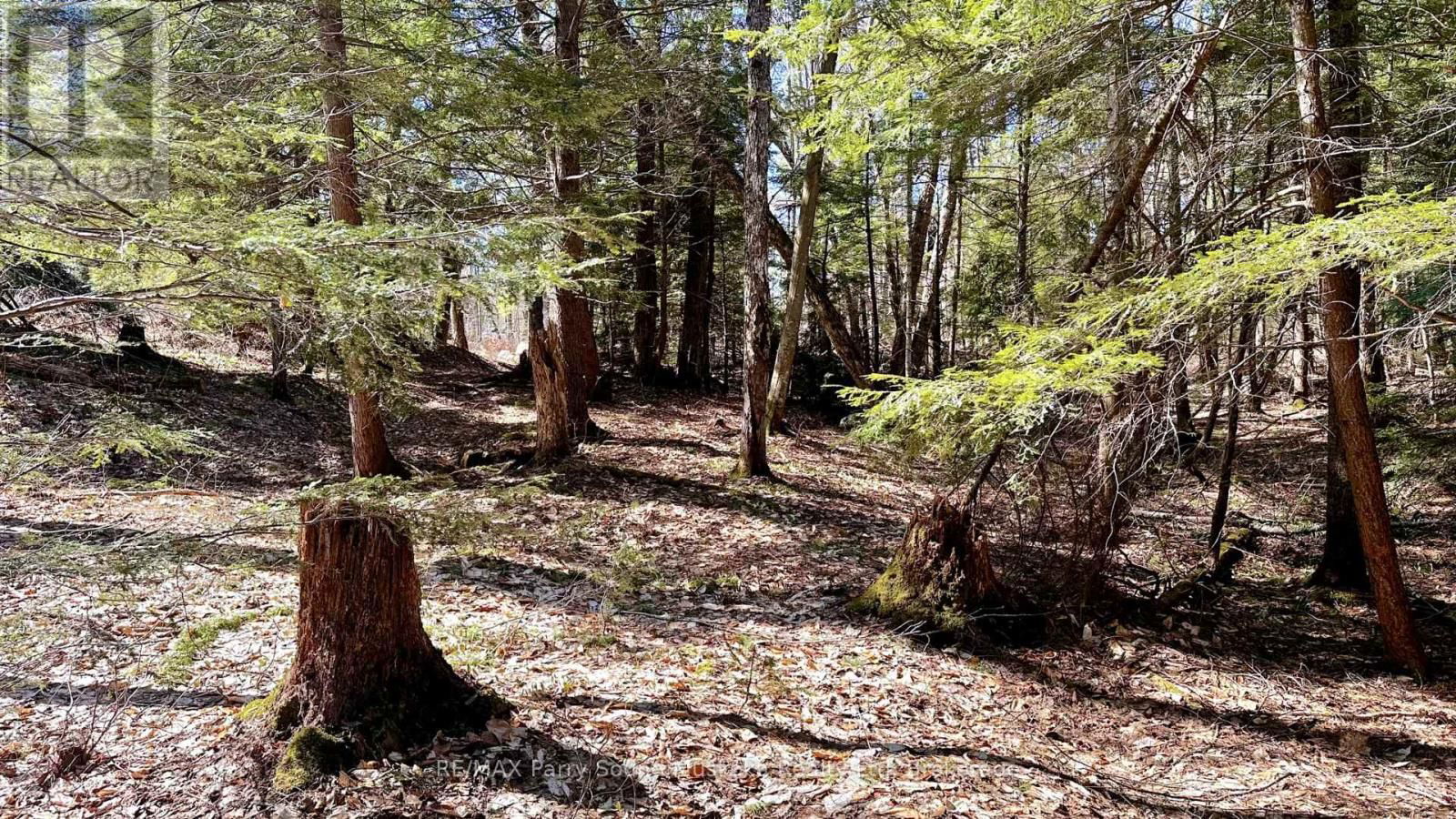 3 GREENWOOD CAMP ROAD Image 13