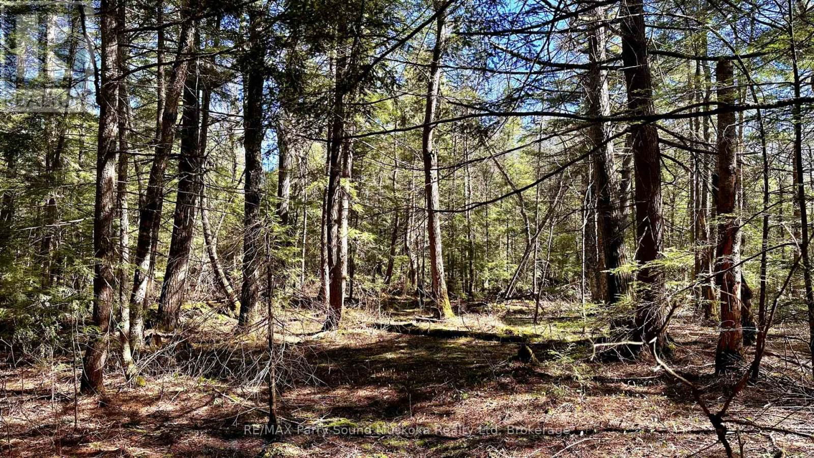 3 GREENWOOD CAMP ROAD Image 14